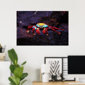 Red Rock Crab Poster (Thuiskantoor)