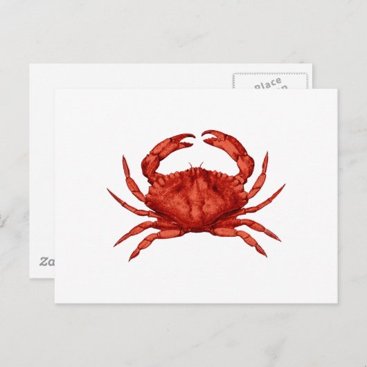 Red Rock Crab (Stille Oceaan) Briefkaart (Voorkant / Achterkant)