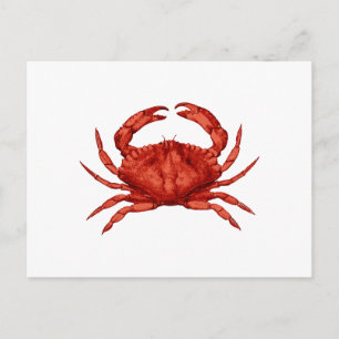 Red Rock Crab (Stille Oceaan) Briefkaart