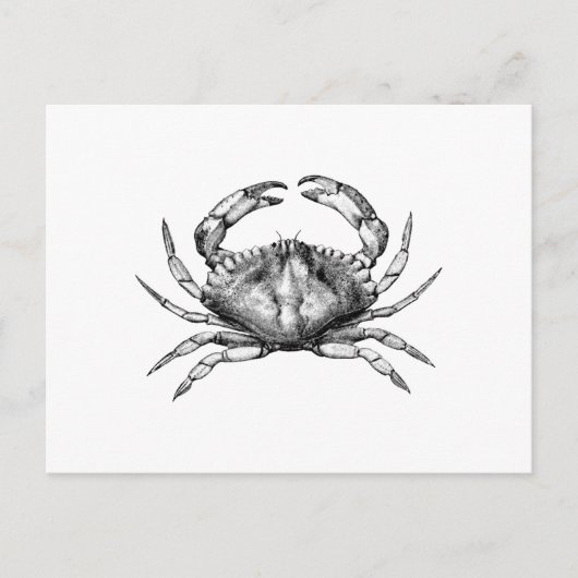 Red Rock Crab (Stille Oceaan) Briefkaart (Voorkant)