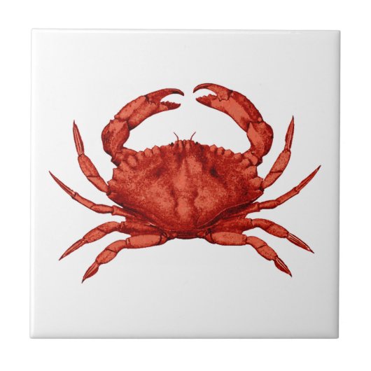 Red Rock Crab (Stille Oceaan) Tegeltje (Voorkant)
