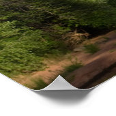 Red Rock Crossing 4143 Poster (Hoek)