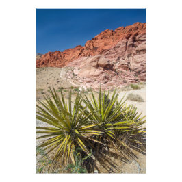Red Rock Desert Plant Foto Afdruk