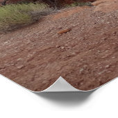 Red Rock in het Arches National Park Poster (Hoek)