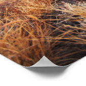 Red Rock Poster (Hoek)