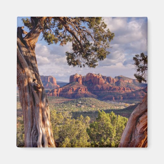 Red Rock | Sedona Arizona Magneet (Voorkant)