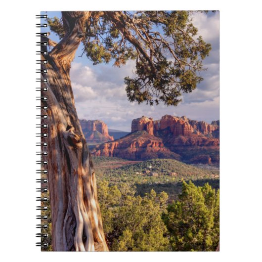 Red Rock | Sedona Arizona Notitieboek (Voorkant)