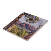 Red Rock | Sedona Arizona Tegeltje (Zijkant)