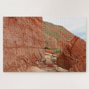 Red rocks, Devon, Engeland 1014-pc Legpuzzel