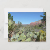 Red Rocks en Cacti I (Voorkant)