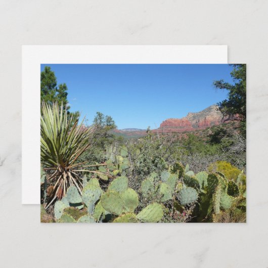 Red Rocks en Cacti I (Voorkant / Achterkant)
