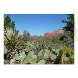 Red Rocks en Cacti I