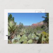 Red Rocks en Cacti I Briefkaart (Voorkant / Achterkant)
