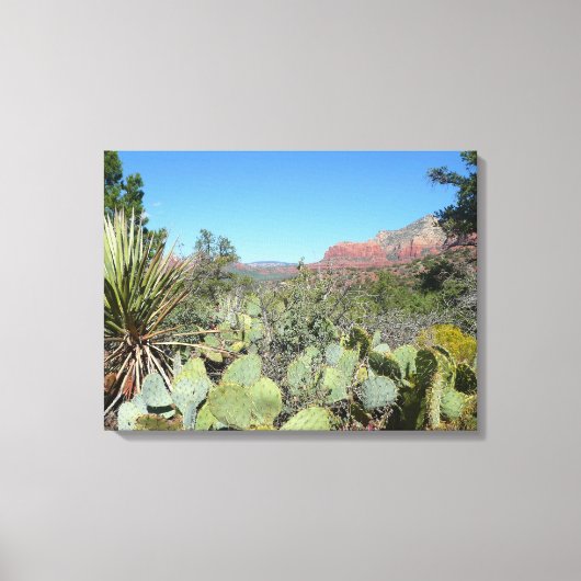 Red Rocks en Cacti I Canvas Afdruk (Voorkant)