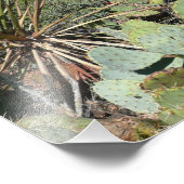 Red Rocks en Cacti I Foto Afdruk (Hoek)