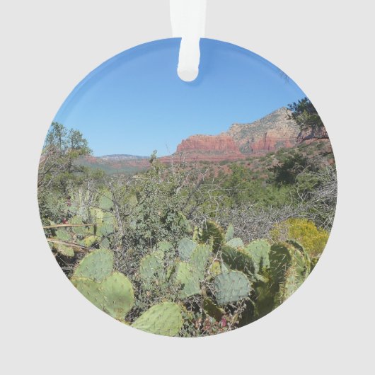 Red Rocks en Cacti I Ornament (achterkant)