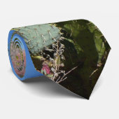 Red Rocks en Cacti I Stropdas (Opgerold)