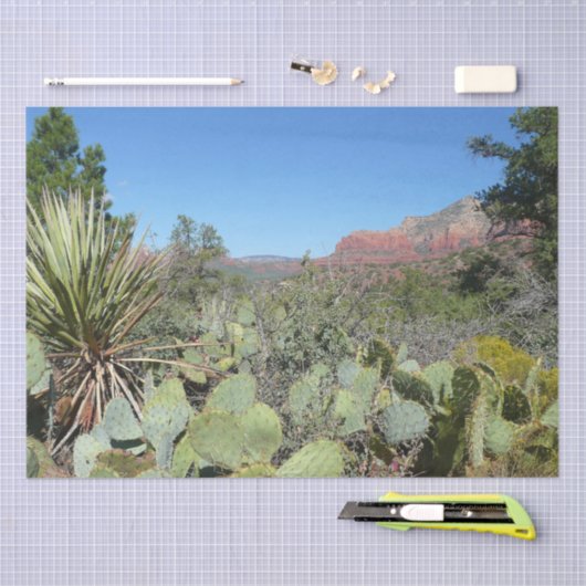 Red Rocks en Cacti I Tissuepapier (Craft)