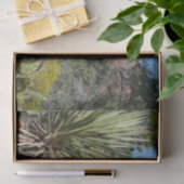 Red Rocks en Cacti I Tissuepapier (Geschenk)