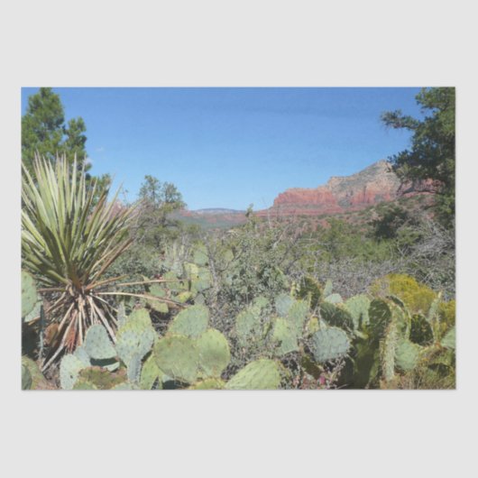 Red Rocks en Cacti I Tissuepapier (Voorkant)