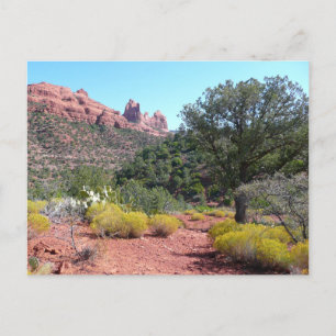 Red Rocks en Cacti II in Sedona Arizona Briefkaart