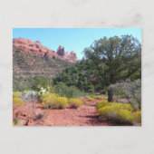 Red Rocks en Cacti II in Sedona Arizona Briefkaart (Voorkant)