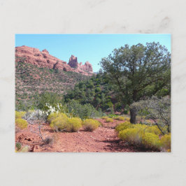Red Rocks en Cacti II in Sedona Arizona Briefkaart