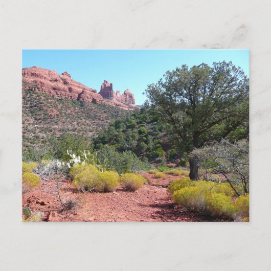 Red Rocks en Cacti II in Sedona Arizona Briefkaart (Voorkant)
