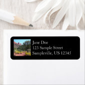 Red Rocks en Cacti II in Sedona Arizona Etiket (Insitu)