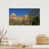 Red Rocks in Zion National Park Poster (Keuken)