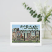 Red Rocks Lake Park, Montana Briefkaart (Staand voorkant)