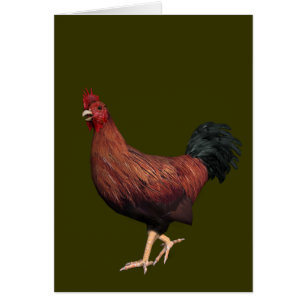 Red Rooster