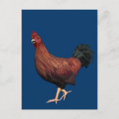 Red Rooster Briefkaart (Voorkant)