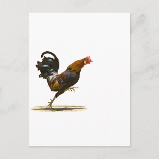 Red Rooster Briefkaart (Voorkant)