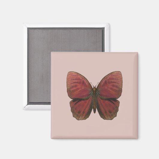 Red Rooster Butterfly Magneet (Voorkant / Achterkant)