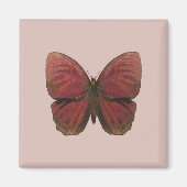 Red Rooster Butterfly Magneet (Voorkant)