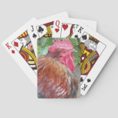 Red Rooster Chicken Photo Pokerkaarten (Achterkant)