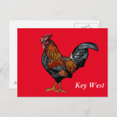 Red Rooster Key West Post Kaart (Voorkant / Achterkant)