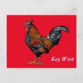 Red Rooster Key West Post Kaart (Voorkant)