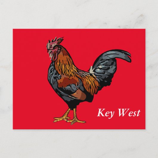 Red Rooster Key West Post Kaart (Voorkant)