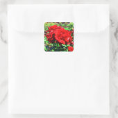 Red Rose #1 Stickers (Tas)