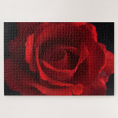 Red Rose 20x30 1014pc jpcna Legpuzzel (Horizontaal)