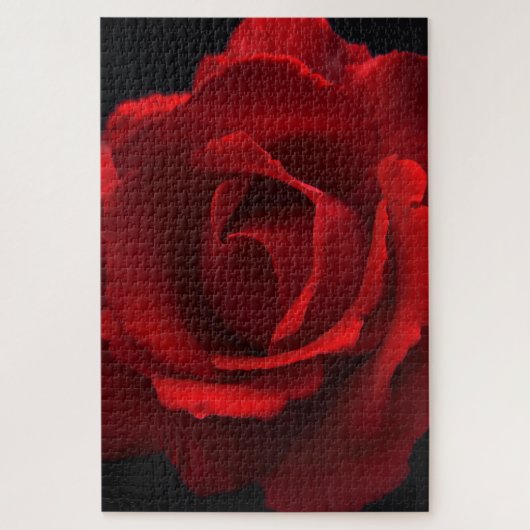 Red Rose 20x30 1014pc jpcna Legpuzzel (Verticaal)