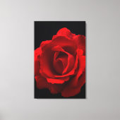 Red Rose 24x36 (60x90cm) waccnm Canvas Afdruk (Voorkant)