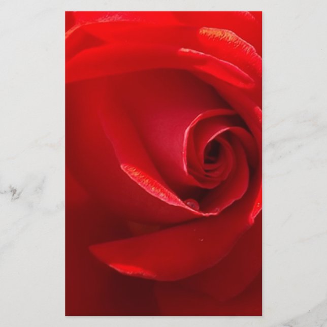 Red-Rose-3.jpg (Voorkant)