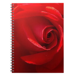 Red-Rose-3.jpg Notitieboek