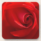 Red-Rose-3.jpg Onderzetter (Voorkant)