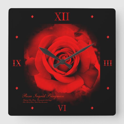Red Rose:Acrylic Wall Clock Vierkante Klok (Voorkant)