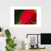 Red Rose - Afdrukken Poster (Thuiskantoor)