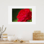 Red Rose - Afdrukken Poster (Keuken)